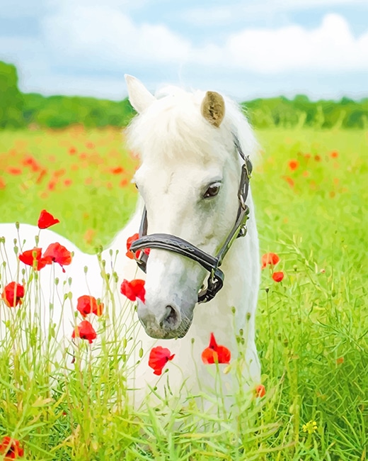 

White Horse Flowers Field – Paint By Numbers - 40*50CM, 501 Original