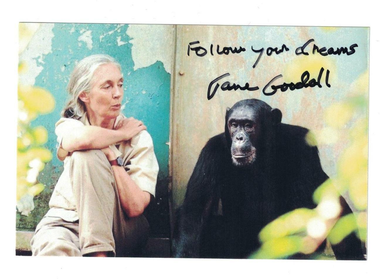 Jane Goodall Signed Autographed 4 x 6 Photo Poster painting