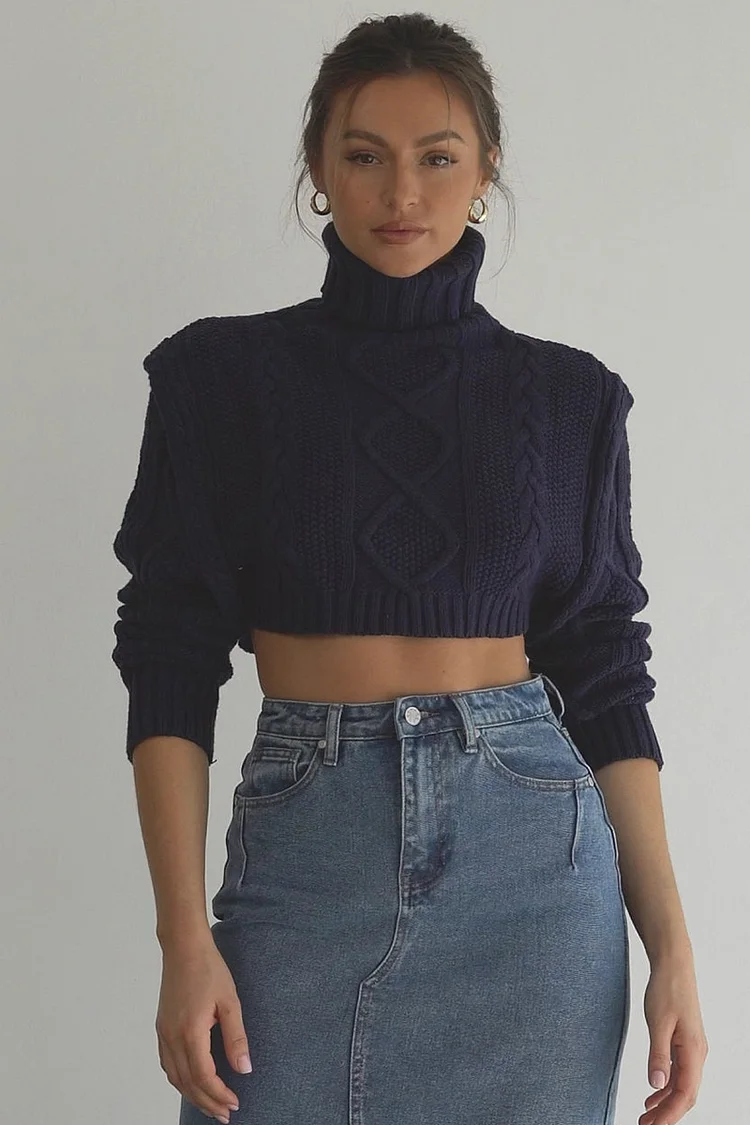 Knit High Neck Long Sleeve Crop Sweater-Navy [Pre Order]