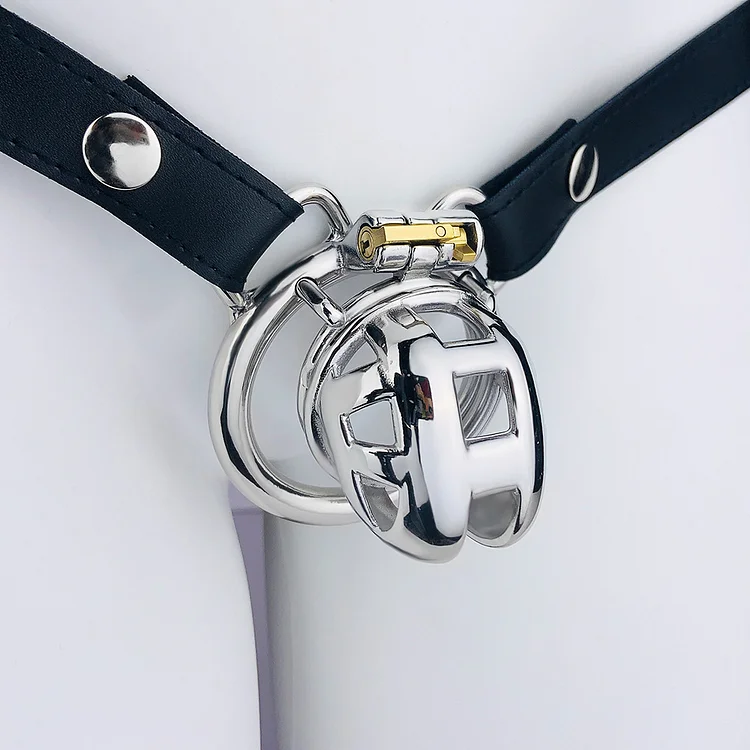 Locked Down Penis Chastity Cage with Belt  Weloveplugs