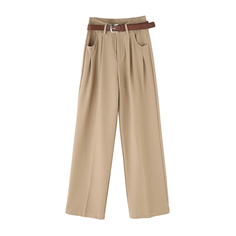 Toloer Narrow Version Wide Leg Pants Female Spring And Summer 2024 New High Waist Hanging Feeling Straight Tube Small Senior Sense Pressure Pleated Suit Pants-Outfit Ideas