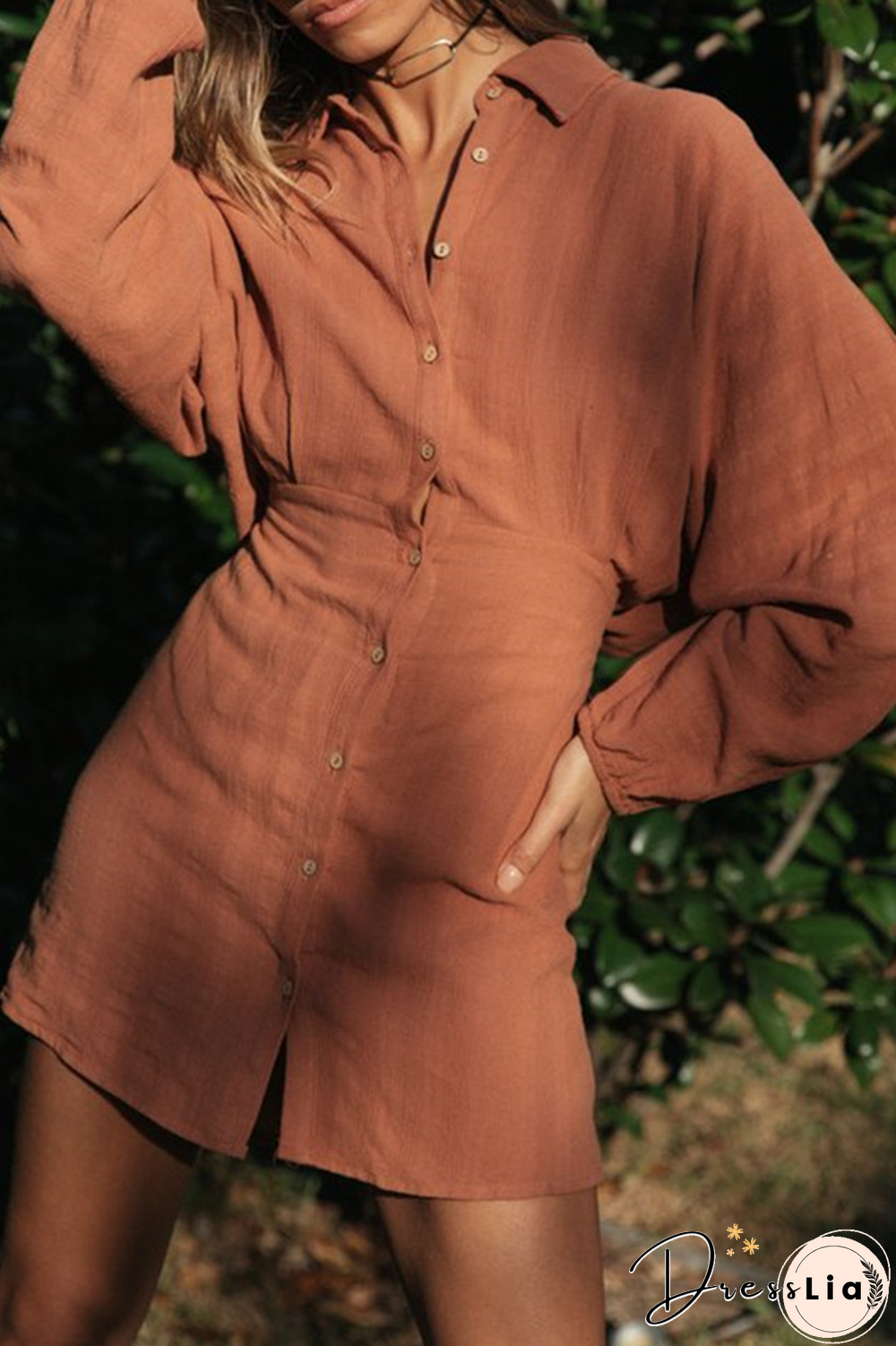 Casual Solid Frenulum Buckle Turndown Collar Dresses