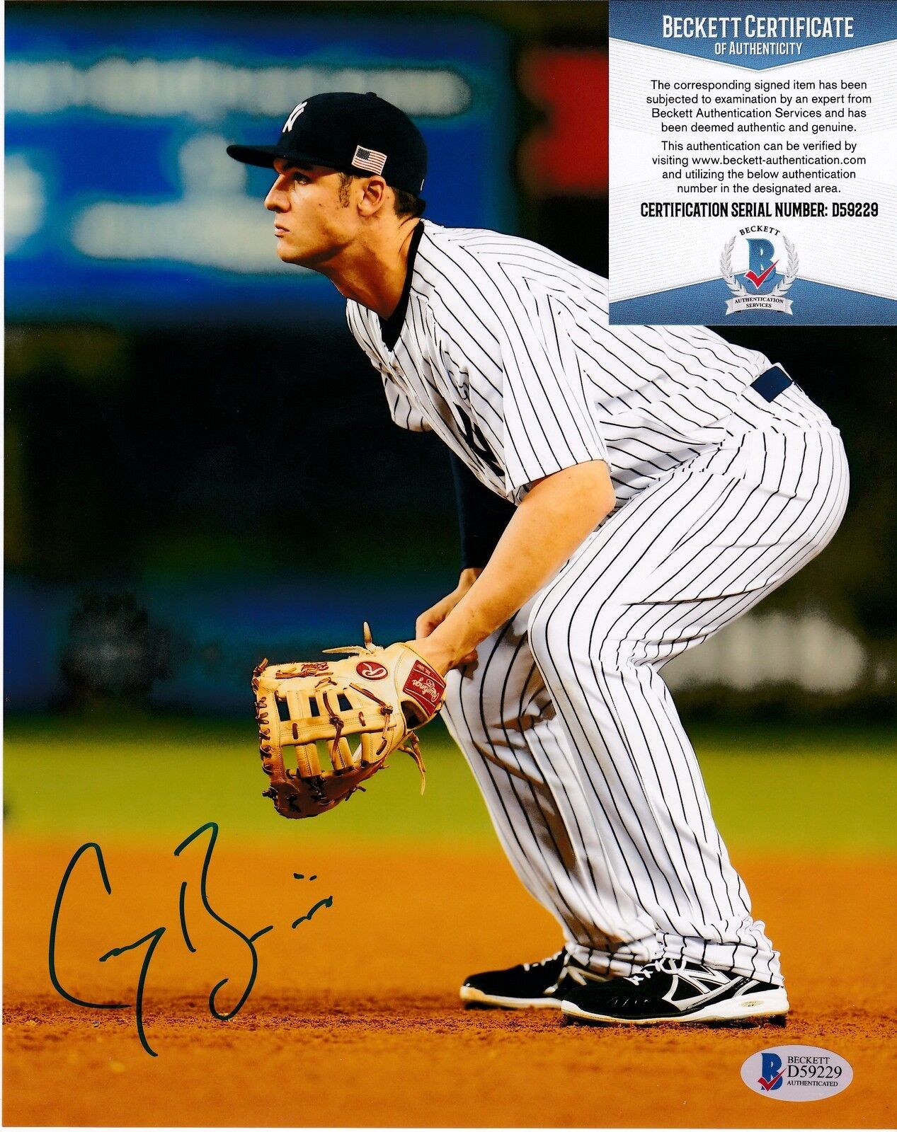 GREG BIRD NEW YORK YANKEES BECKETT AUTHENTICATED ACTION SIGNED 8x10