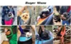 Pet carrier - for Cats and small dogs