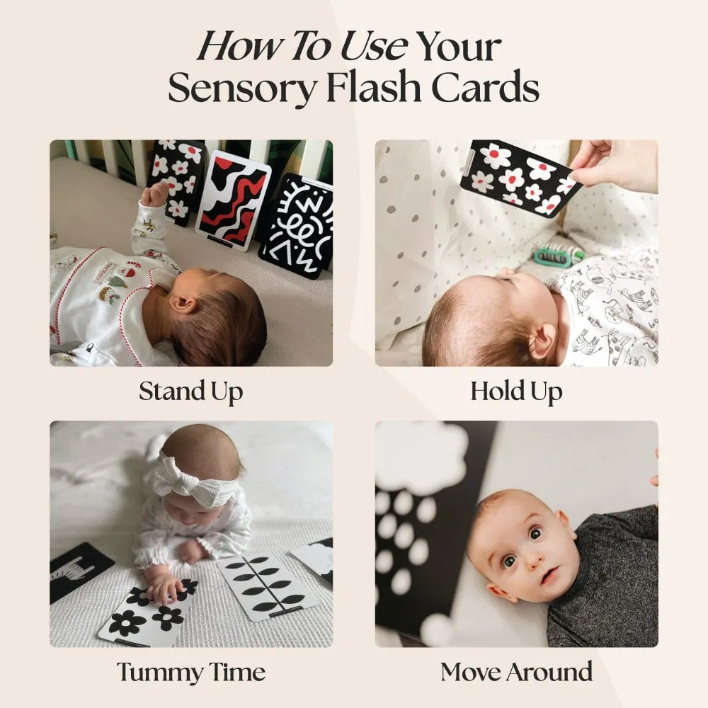 Newborn Sensory Flash Cards - 4
