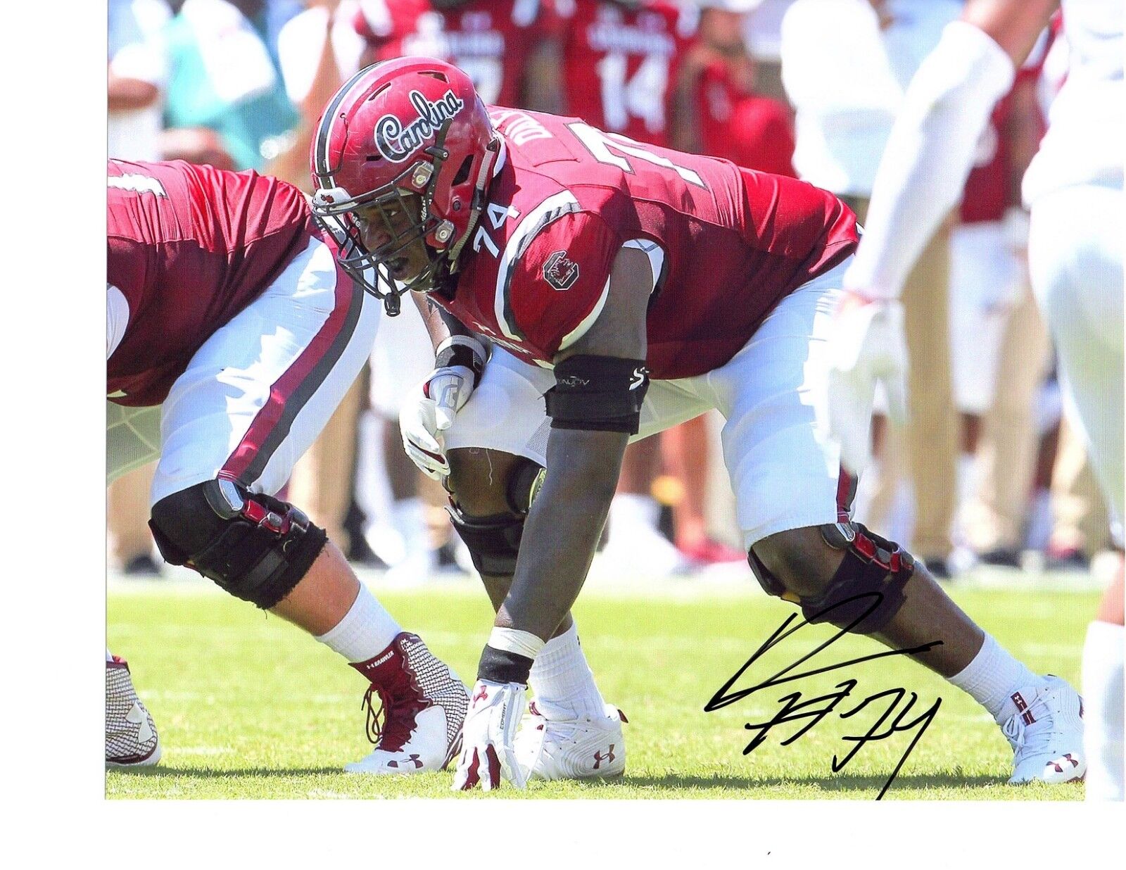 Dennis Daley South Carolina Gamecocks signed autographed 8x10 football Photo Poster painting!