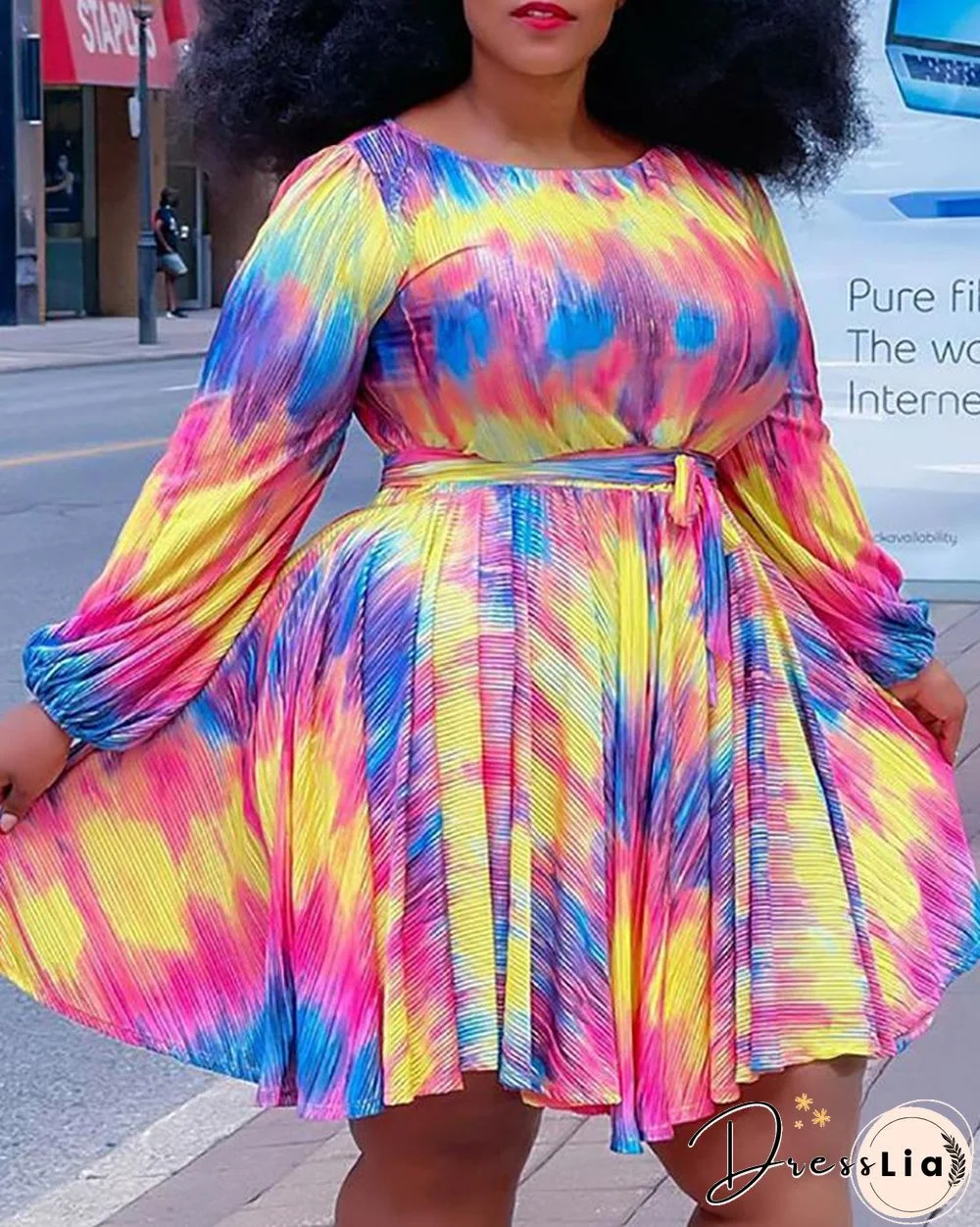 Plus Size Colorblock Lantern Sleeve Casual Dress