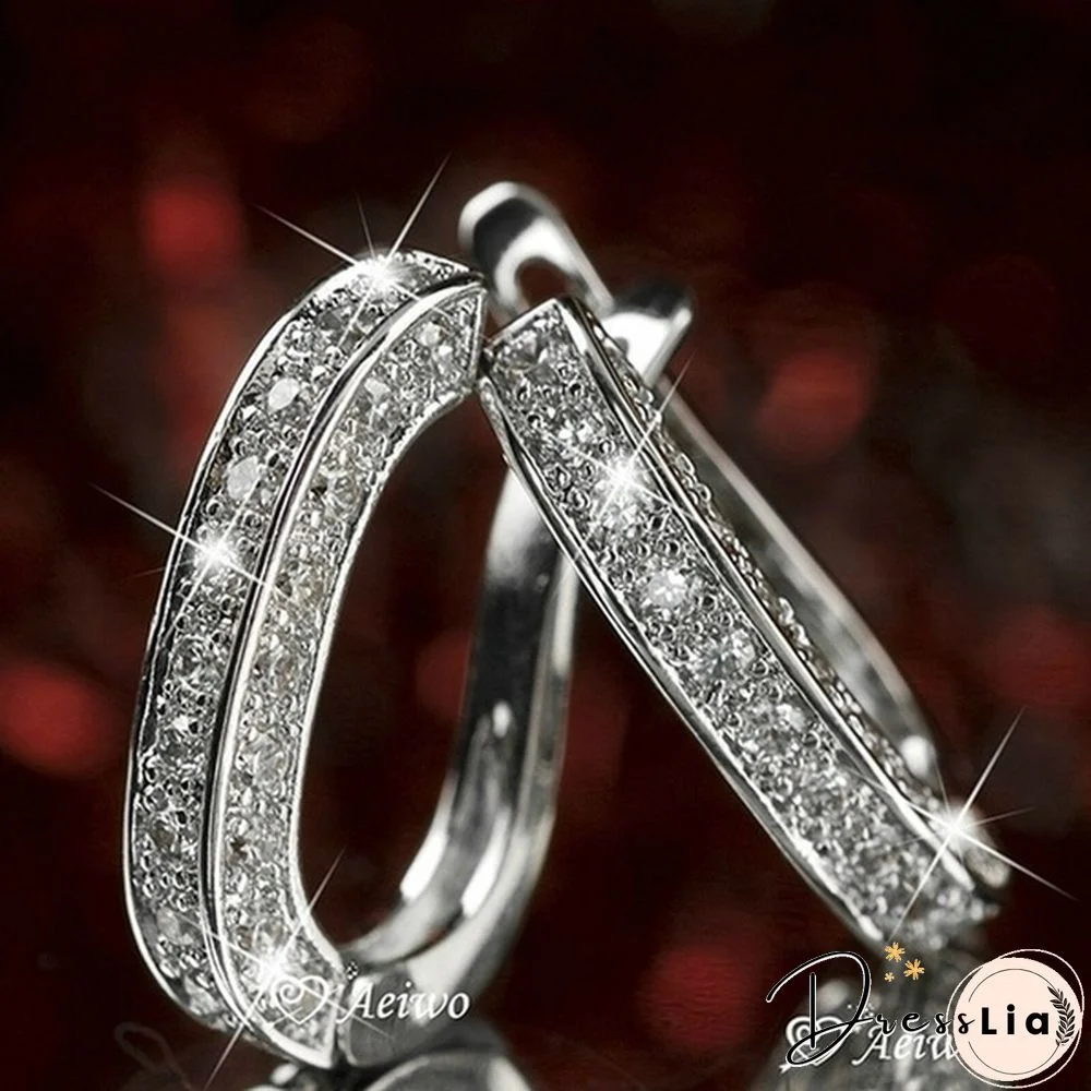 Exquisite Fashion 925 Silver Diamonds Stainless Steel Earrings European and American Women's Earrings Health Care Weight Loss Earrings 100% Surprise Yoga Energy Slimming Earring