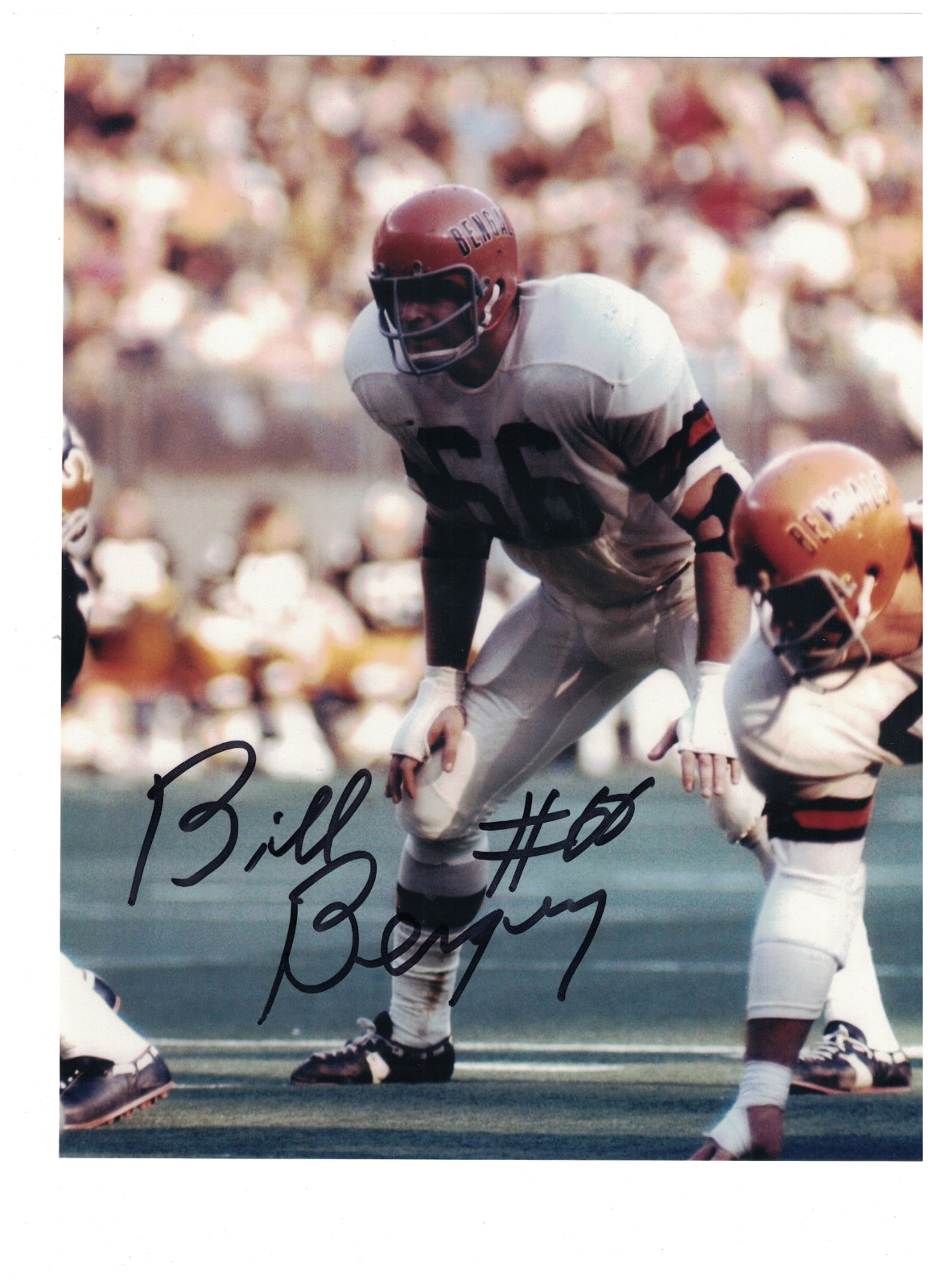 Bill Bergey Cincinnati Bengals Signed 8 x 10