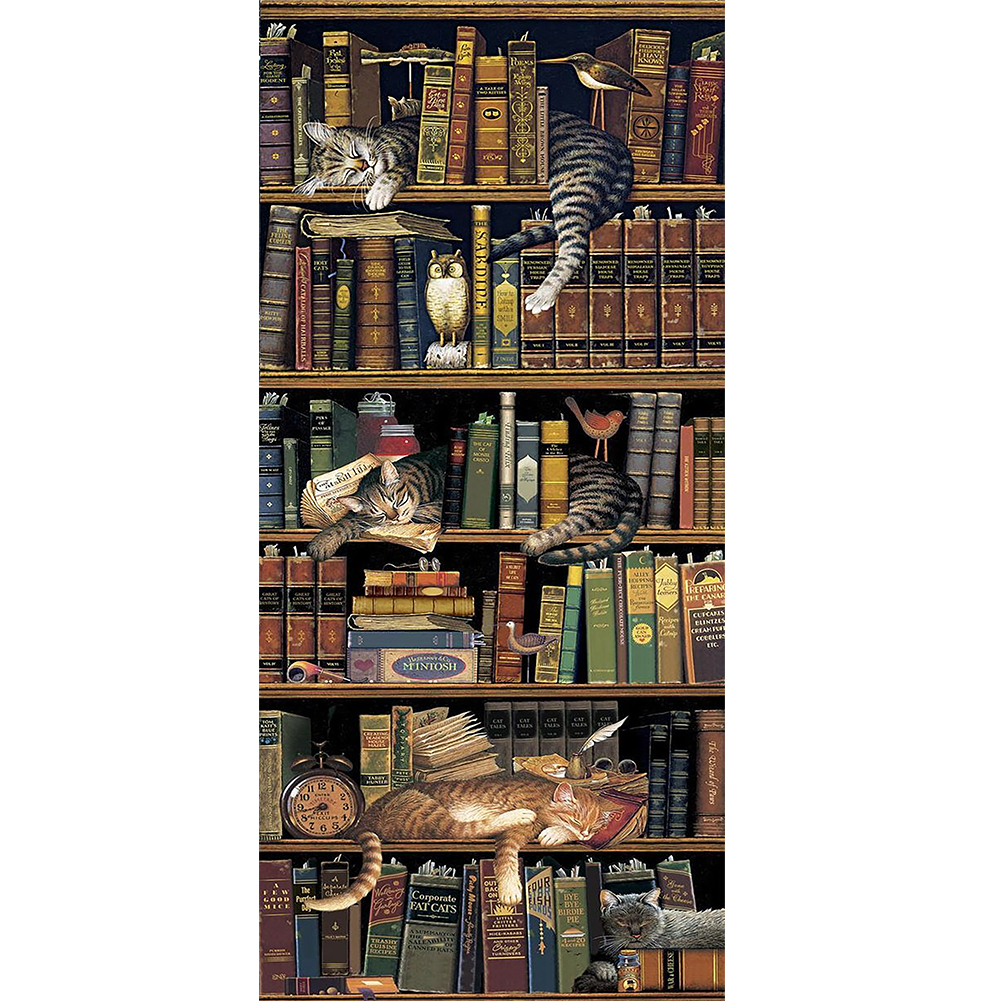 Bookcase Cat 40*80cm(canvas) full round drill diamond painting