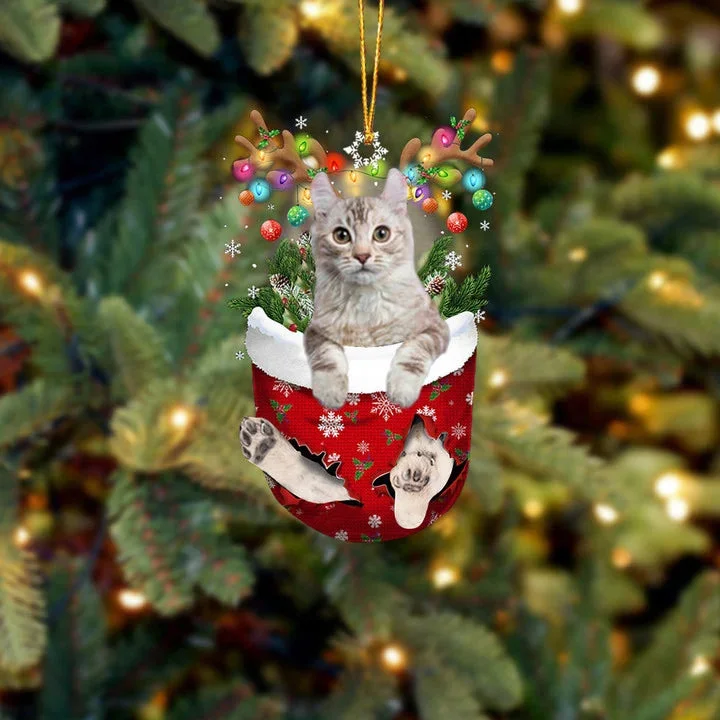 American Curl Cat In Snow Pocket Christmas Ornament.