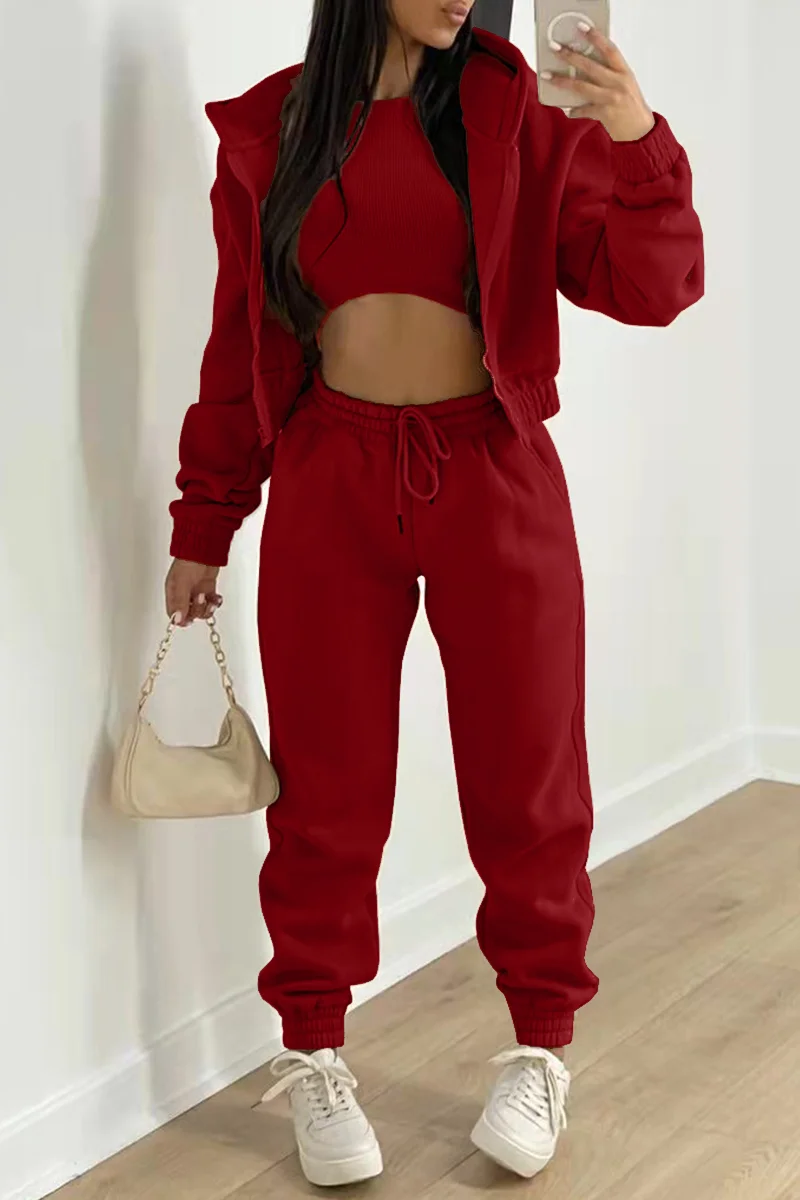 Burgundy Fashion Casual Solid Cardigan Vests Pants O Neck Long Sleeve Three-piece Set