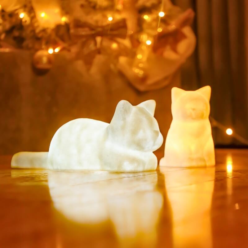Cute Sleeping Cat Light