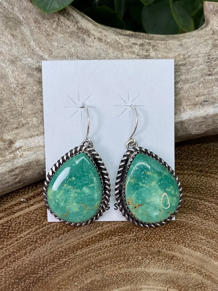 Stormy Campitos Turquoise Teardrop Fish Hook Earrings