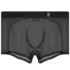 Men's Sexy Ultra-Thin Ice Silk Mesh-Panelled Transparent Boxer Briefs