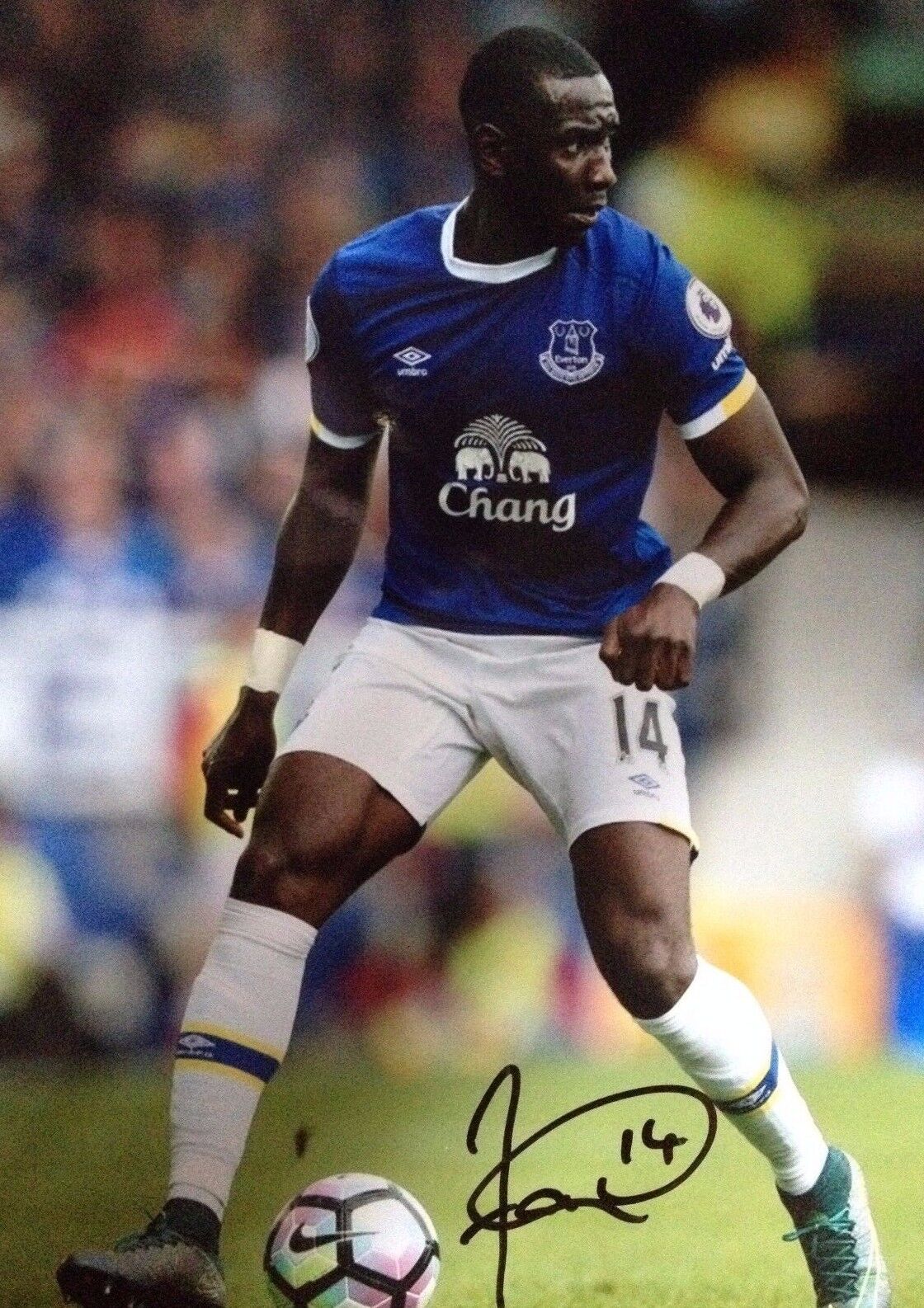 YANNICK BOLASSIE - EVERTON FOOTBALLER - SUPERB SIGNED COLOUR Photo Poster paintingGRAPH