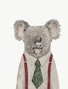 

Mr Koala – Paint By Numbers - 40*50CM, 501 Original