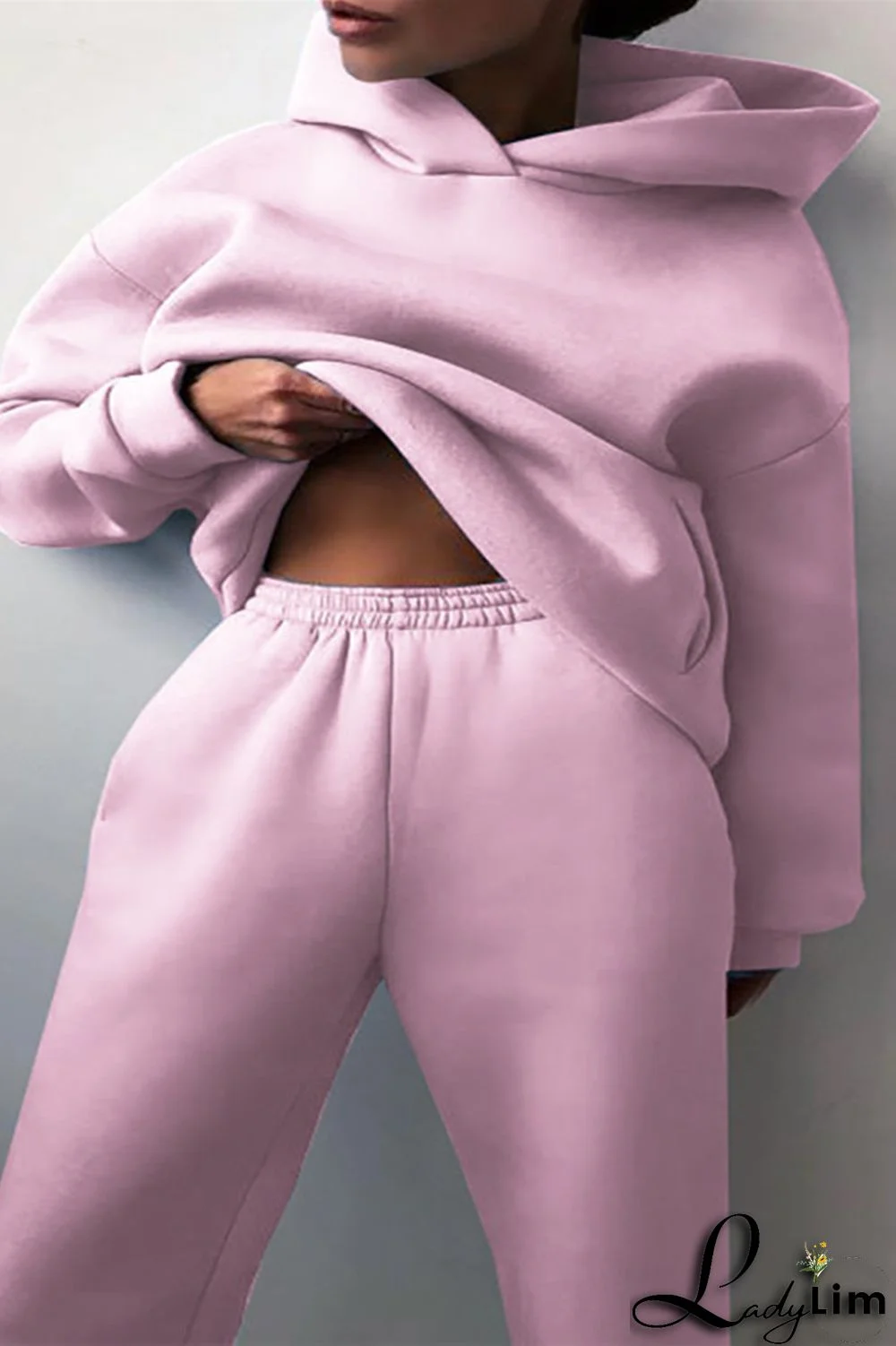 Purple Fashion Casual Solid Basic Hooded Collar Long Sleeve Two Pieces