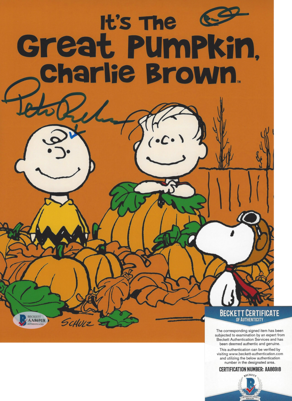 PETER ROBBINS PEANUTS VOICE OF CHARLIE BROWN SIGNED 8x10 Photo Poster painting O BECKETT COA BAS