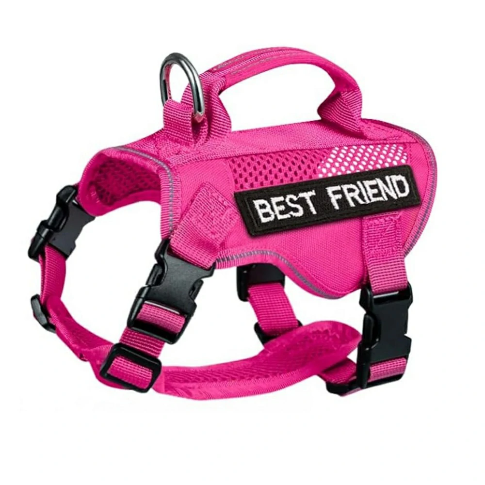 Vanguard Epoch Series - Tactical Cat Harness for Urban Jungle and Home Game, Tactical Cat Harness for adventurous cats!