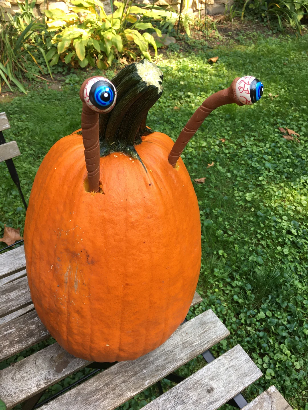 Halloween Eyeball Plant Markers
