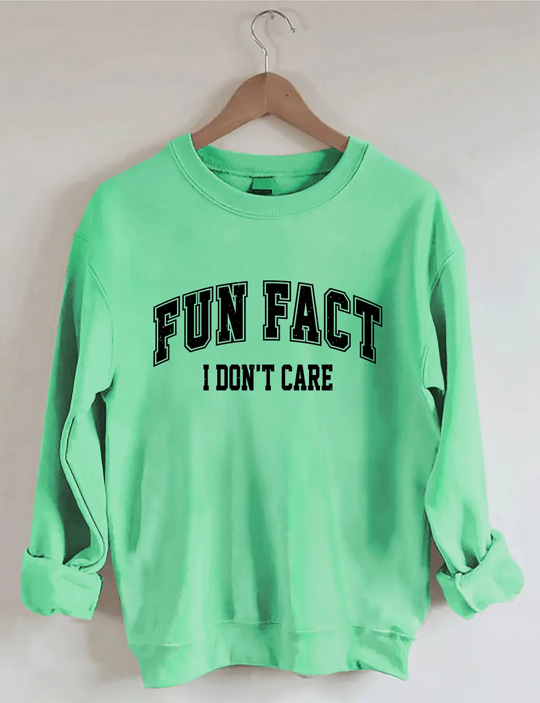 Fun Fact I Don't Care Sweatshirt