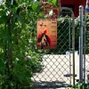Western Cowboy - Vintage Metal Signs(8*12Inch) - Cowgirl