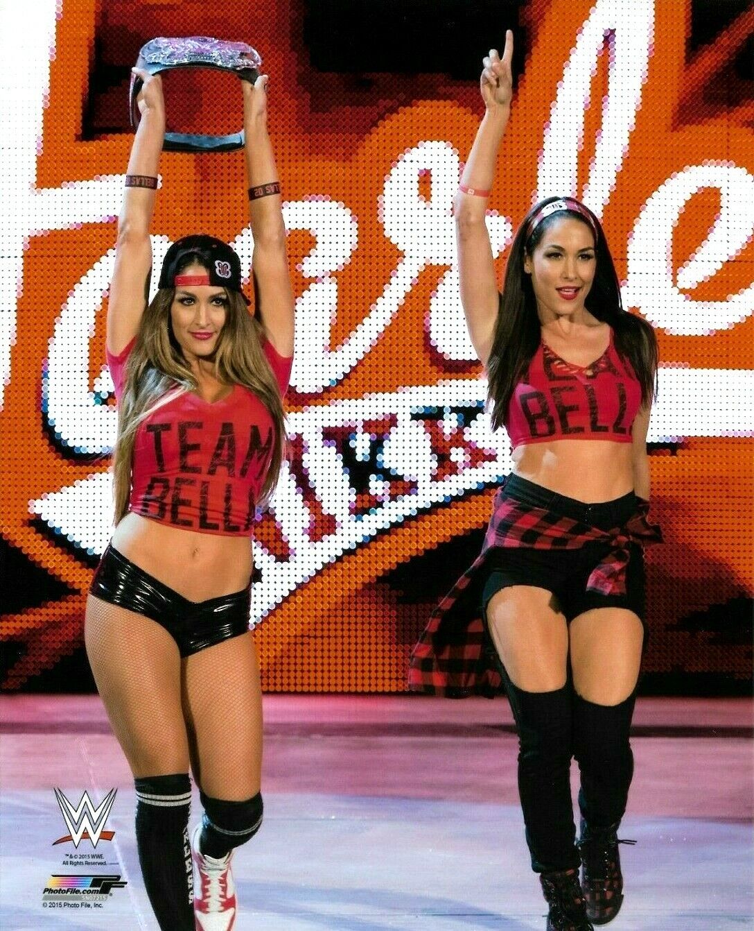 WWE THE BELLA TWINS OFFICIAL LICENSED AUTHENTIC ORIGINAL 8X10 Photo Poster painting FILE Photo Poster painting 3