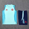 2025/2026 Flamengo Pre-Match Light Blue Training Vest+Shorts Football1:1 Thai Quality