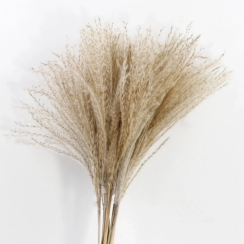 Pastoral Minimalist Solid Color Dried Flower Artificial Flowers