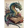 (Big Size)Dragon Read Book - 11CT Stamped Cross Stitch - 40*60cm