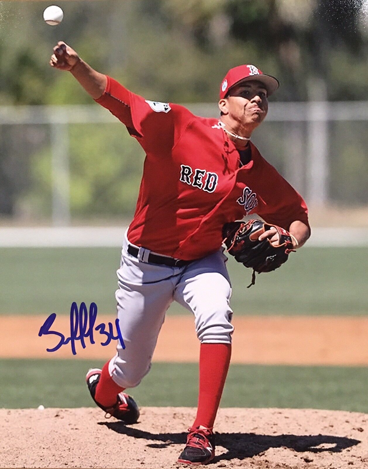 PROOF! BRYAN MATA Signed Autographed 8x10 Photo Poster painting BOSTON RED SOX Top Prospect