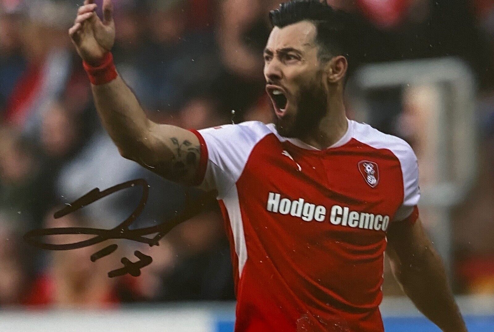 Richie Towell Genuine Hand Signed 6X4 Photo Poster painting - Rotherham United