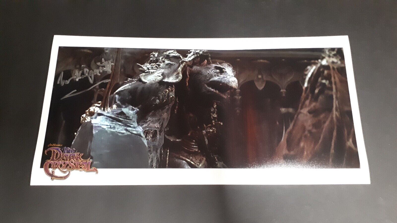 Michael Kilgarriff signed autograph Photo Poster painting 8x16 COA the Dark Crystal in person c