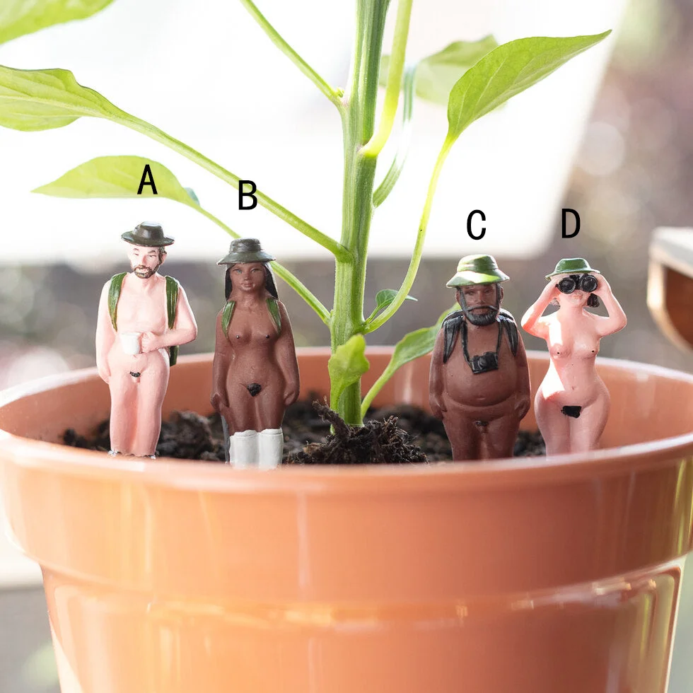 Naked Ramblers Mini Planters