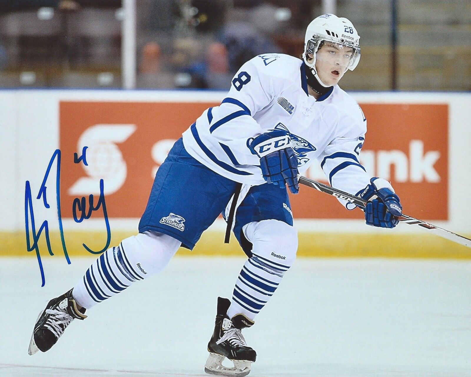 Sean Day Signed 8x10 Photo Poster painting Mississauga Steelheads Autographed COA