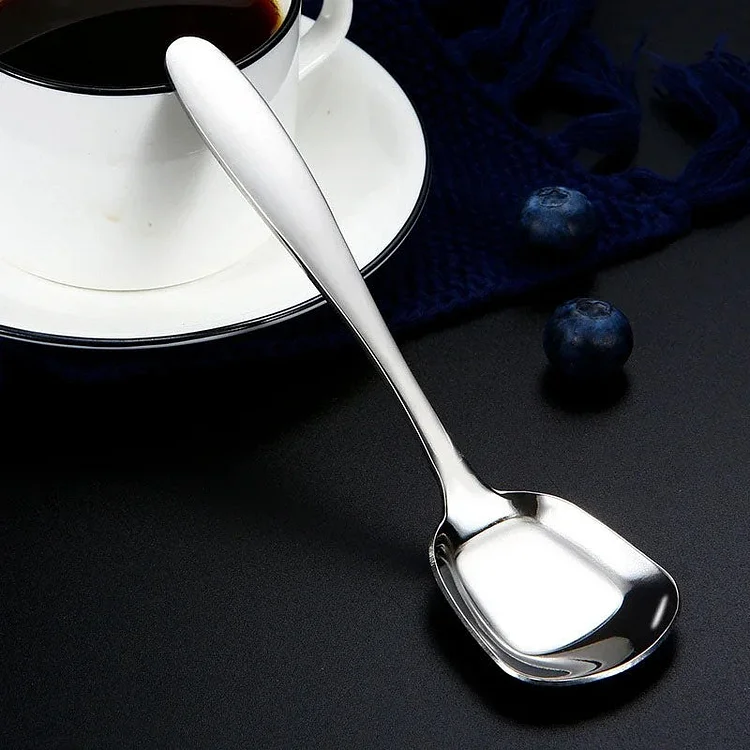 Square Head Stainless Steel Spoons slivor