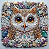 (Multistyle) Oiseau Hibou-Peinture Diamant En Forme Sp&eacute;ciale-30 * 30CM