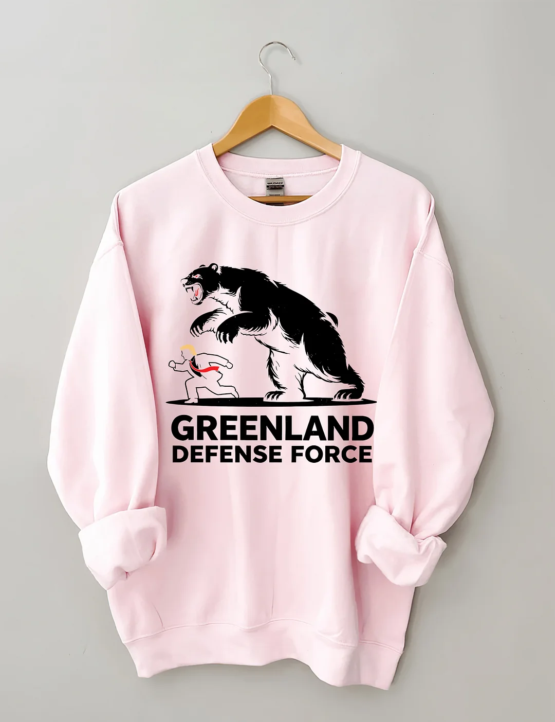 Greenland And Defense Force Sweatshirt
