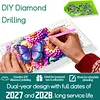 2027-2028 Two-Year Diamond Painting Calendar Kit, 13 Exquisite Multicolor Butterfly And Floral Illustrations, Large Size Desk Calendar, Mosaic Art Coil-Bound Desktop Planner