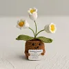 (Finished Product)Crochet Flower Potted Doll with Positive Card Desktop Ornaments, Potted Plants, Bouquets Gift Home Decor