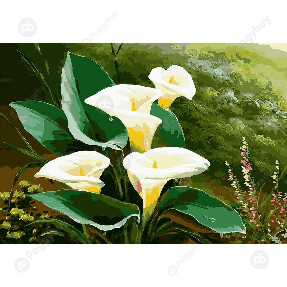 

DIY Oil Painting By Numbers Kits Flowers Acrylic Coloring Drawing Picture, 501 Original