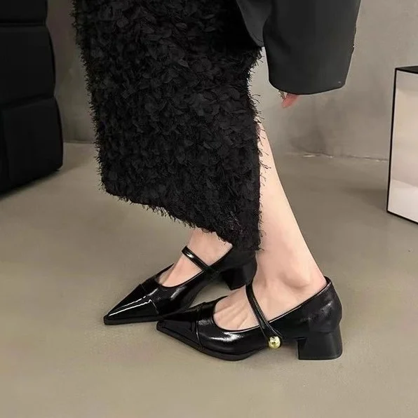 Yyvonne Small Leather Shoes Women 2025 New Spring Thick Heel Low Heel High Heels Retro French Temperament Mary Jane Single Shoes