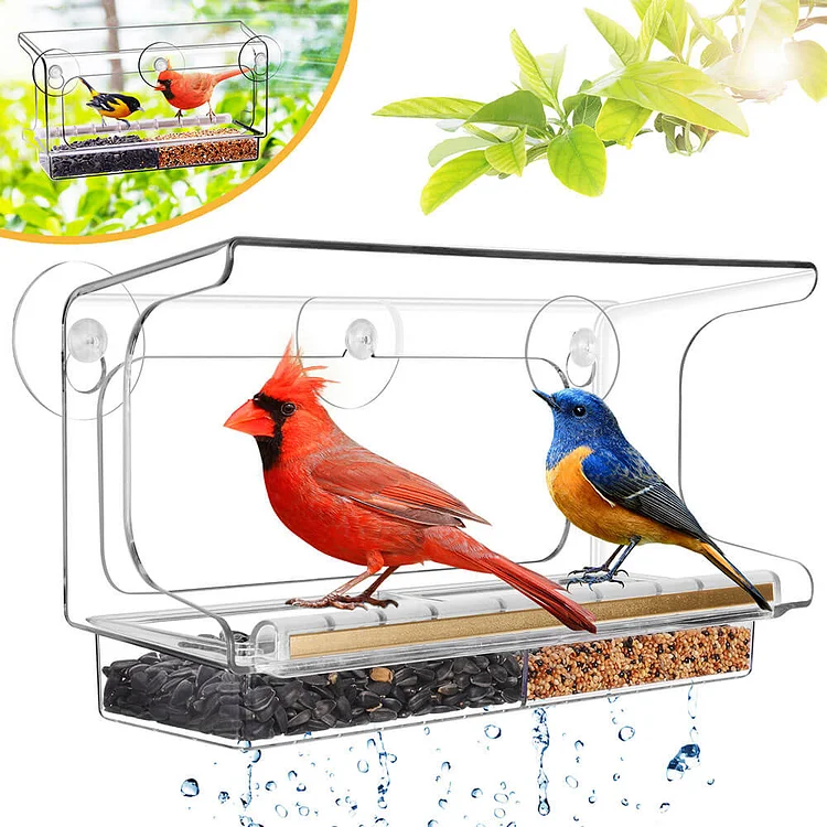 LUJII Cuboid Shaped Window Bird Feeder with Strongest Suction Cups, Transparent, Golden Metal Strip