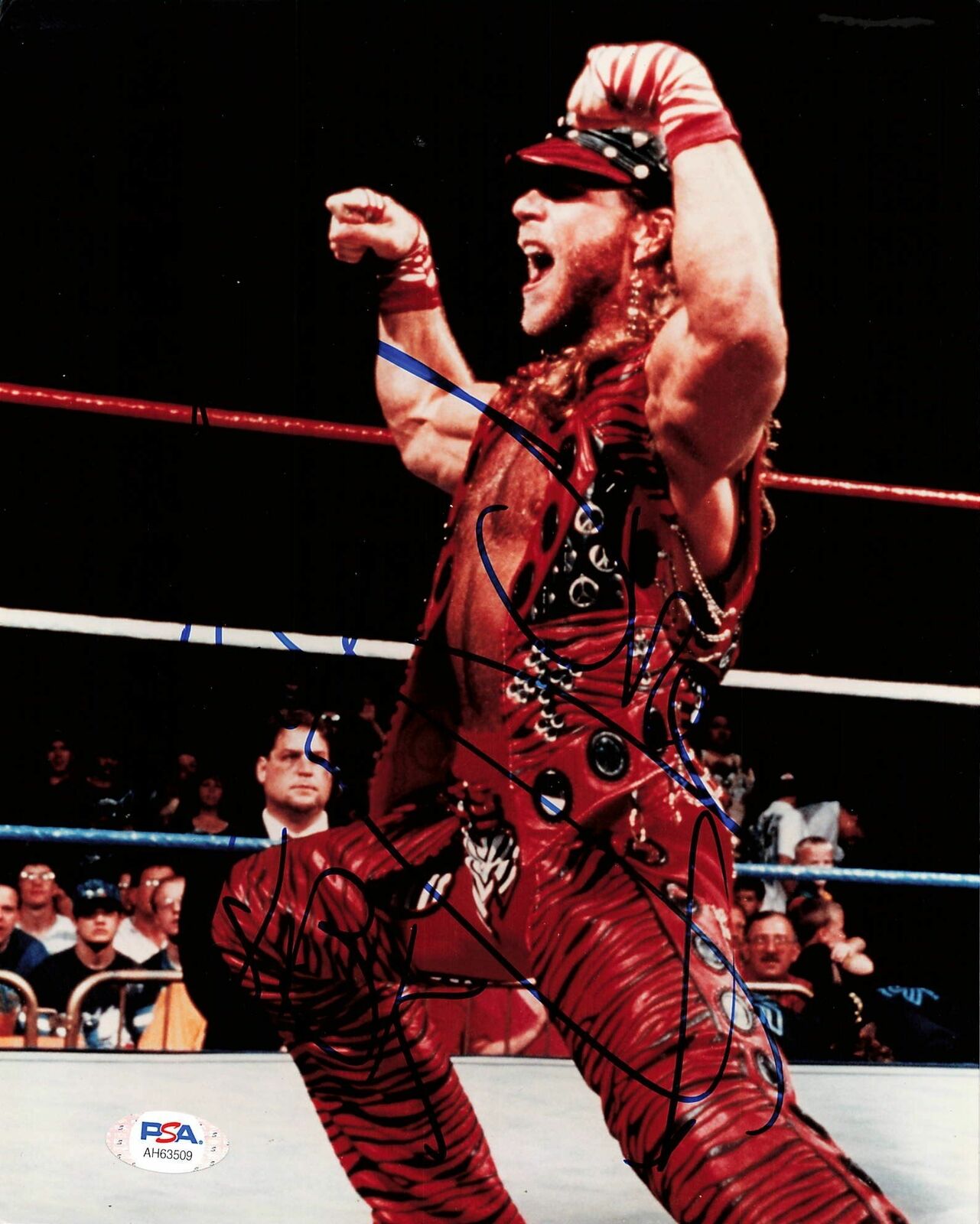 Shawn Michaels signed 8x10 Photo Poster painting PSA/DNA COA WWE Autographed Wrestling