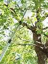 Stainless Steel Splicing Rod Fruit Picker Telescopic Pole Fruit Picking Tool