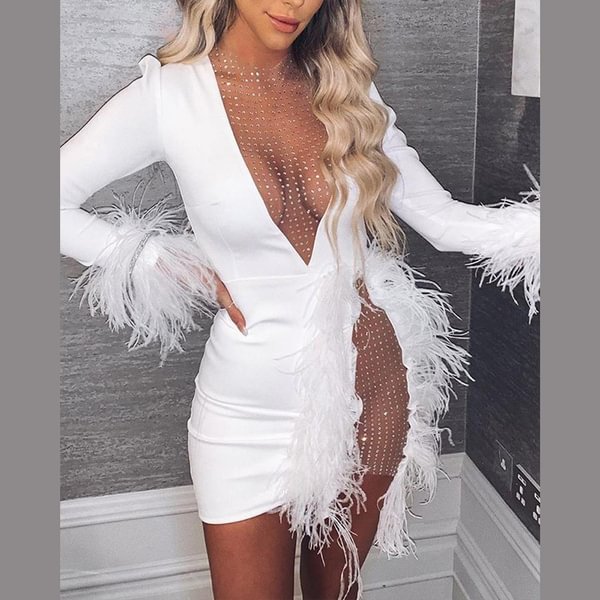 New Women Mesh Night Dress Inserted Embellished Party Dresses Sexy White Feather Mini Dress - Life is Beautiful for You - SheChoic