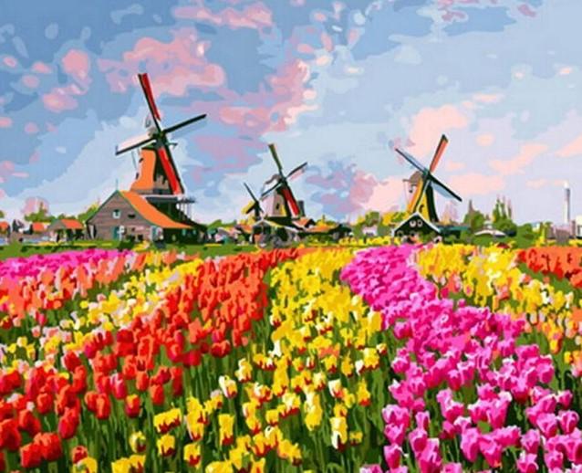 

Colorful Fields – Paint By Numbers - 40*50CM, 501 Original