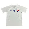 2024 Slovakia National Team Away Football Jersey 1:1 Thai Quality