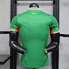 2025 Player Version Ireland Home Football Jersey 1:1 Thai Quality